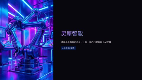 灵犀智能 · 具身智能机器人 A 轮路演