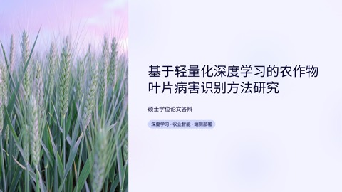 硕士论文答辩：基于深度学习的农作物病害识别